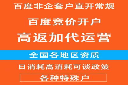 某电商平台信息流竞价策略及成效分析